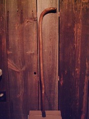 walking stick cane natural grown ROOT HANDLE for average size hands MADE IN USA