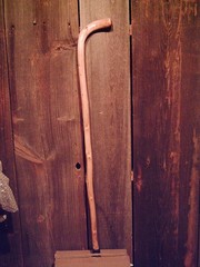 walking stick cane natural grown ROOT HANDLE for average size hands MADE IN USA