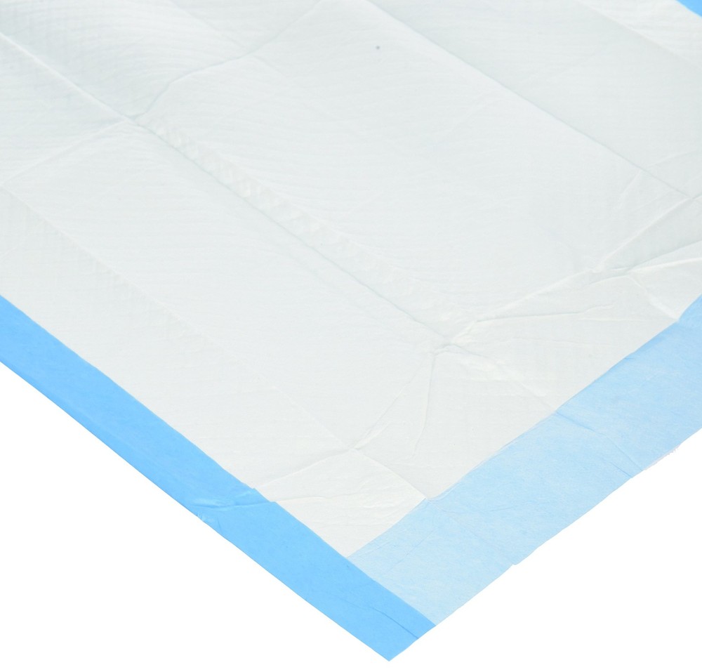Dynarex Disposable Under Pad, 17″ L X 24″ W, 100 100 Count (Pack of 1), Blue