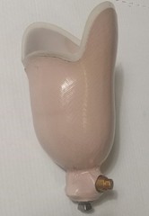 Left Below Knee BK Prosthetic Socket w/ 3R80 Connector Expulsion Valve & Liner