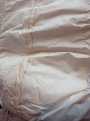 Surety’s Fitted Briefs (Medium) Vintage 1990’s Diapers (1)