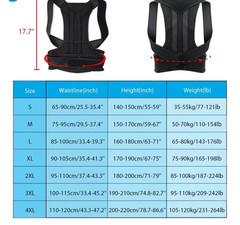 Unisex Posture Back Lumbar Waist Support Corrector Brace Shoulder Belt Girdle US