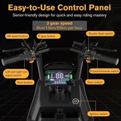 500/1000W Electric Mobility Scooter All Terrain for Adults with Cargo Platform