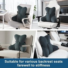Lumbar Pillow(Pat. Pend) for Lower Back Pain – Multi-Functional Ergonomic Lum…