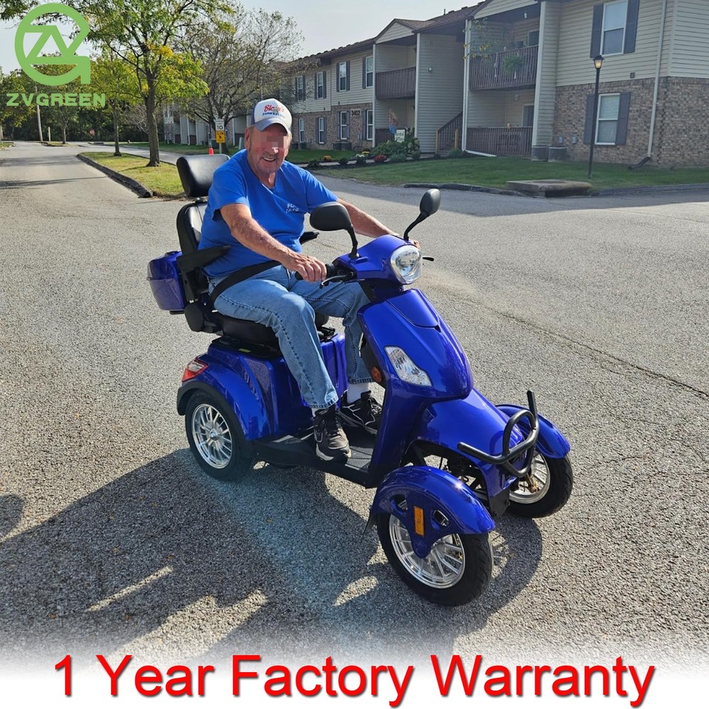 800W 4-Wheel Heavy Duty Mobility Scooter 60V/20Ah 31 Miles for Seniors 500lbs