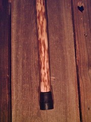 ELK ANTLER handle walking stick cane natural grown MAPLE shaft made in the USA