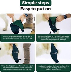 Orthopedic Dog Knee Brace for Hind Leg – Eases Discomfort & Enhances Mobility