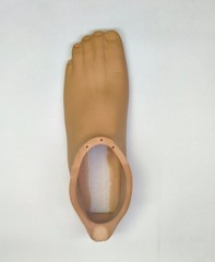 Universal Prosthetic Foot Shell for All Brands | Size 22–29 | Easy Fit Cover