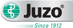 PEACH BLOSSOM Dreamsleeve Compression Sleeve by JUZO, Gauntlet Option, ANY SIZE