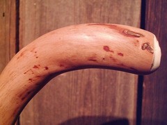 walking stick cane natural grown ROOT HANDLE for average size hands MADE IN USA