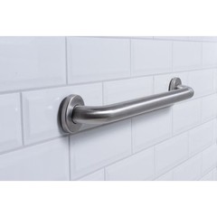 Oatey Dearborn 42 in Grab Bar 1-1/2 in Diameter Concealed Mount