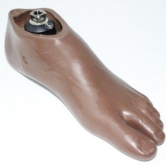 BLATCHFORD ENDOLITE Prosthetic LEFT SACH Foot w/ Adapter 04168AL ~ Sz 27 Cat 3