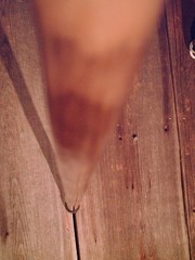 walking stick cane Antler handle MAPLE wood shaft very stiff CUSTOM MADE IN USA