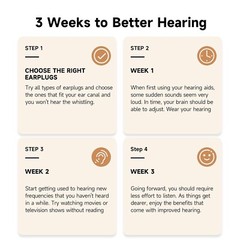 Pair Rechargeable Digital Invisible Hearing Aids Sound Voice Amplifier Mini ITE
