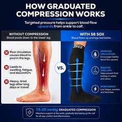 SB SOX 3-Pair Compression Socks for Men & Women (15-20mmHg) – Best Compressio…