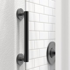 Bath, Shower and Toilet Safety Grab Bar for Seniors and Handicaps, ADA Compli…