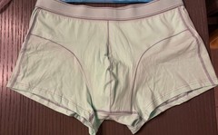 Four Men’s Carer Washable Absorbent Underwear L Light Green