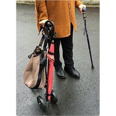 Fujihome Handrail Stick Cane II with Wheel Brake Walking Aid for Seniors Black