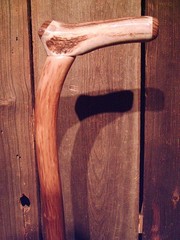 walking stick cane Antler handle MAPLE wood shaft very stiff CUSTOM MADE IN USA