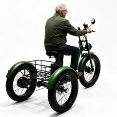 Daibot 24 Inch Fat Tire Electric Tricycle 750W 15AH Adults Snow Mountain E Bike
