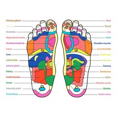 Magnetic Acupressure Insoles，Orthopedic Insoles，Relieve Tired S-US(6-9), Blue