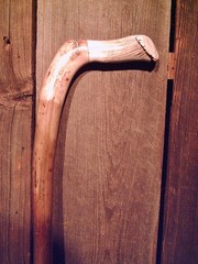 walking stick cane Antler handle MAPLE wood shaft very stiff CUSTOM MADE IN USA