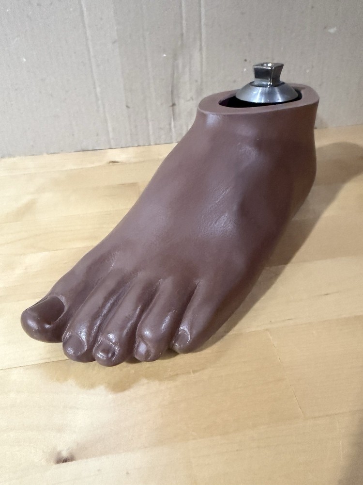 WillowWood SACH Prosthetic Foot with Integrated Titanium Pyramid 25cm