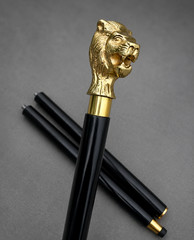 Solid Brass Lion Head Handle Antique Wooden Walking Stick Cane Designer Handmade
