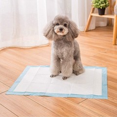 Disposable Underpads 17“ x 24“ (50 -Count) Incontinence Pads, Bed Covers, P…