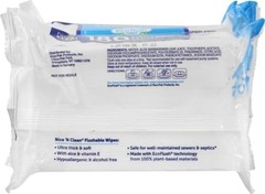 Moisture-Lock Nice ‚N Clean Flushable Wipes | 180 Count for Comfort & Cleansing