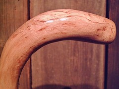 walking stick cane natural grown ROOT HANDLE for average size hands MADE IN USA