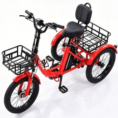 Daibot 350W Foldable Mobility Trike 3 Wheel Adult Removable Battery Cargo Basket