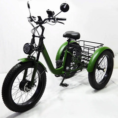 Folding 350W Adult Electric Tricycle, 3 Wheel E-Bike, Removable Battery, Basket