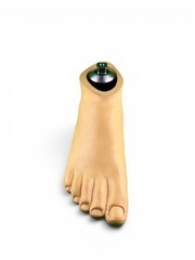 Ohio Willow Wood Sach prosthetic foot w/ titanium pyramid. Right. Size 27
