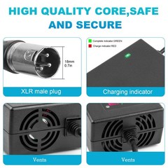 24V 5A 3-Pin Male XLR Connector Battery Charger for Lakematic, Pride Black
