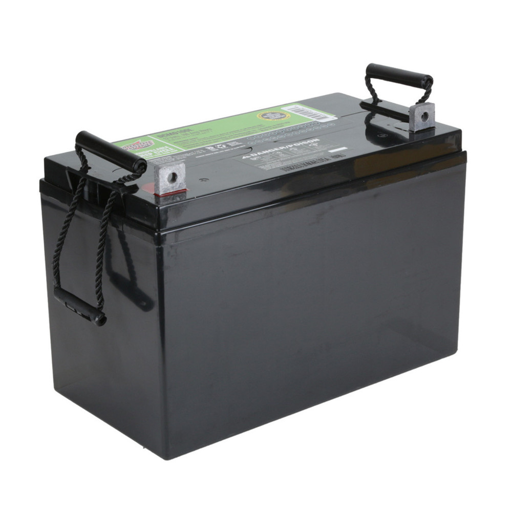 Interstate Batteries Deep Cycle Mobility SLA AGM Battery 12V 110Ah L Terminal