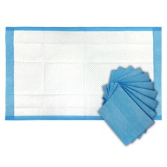 BodyMed Disposable Underpad, 23 in. x 36 in., 150/Case, High Absorbency