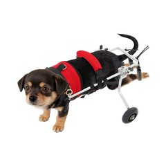 2-Wheel Adjustable Cat Wheelchair Lightweight For Back Legs Disabled Injured Pet