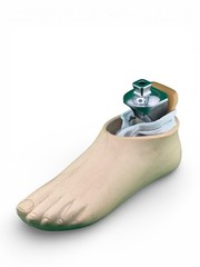 Rush 81 Lp Lopro Prosthetic Foot, Size 22, Category 2.