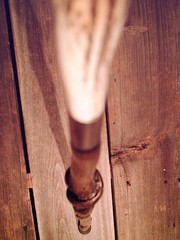 walking stick MOOSE ANTLER TINE handle VINE SPIRALED wood shaft HANDCRAFTED USA