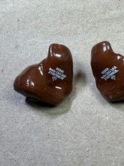 Signia Hearing Aids Insio C&G 3AX W/Case Ships Fast!