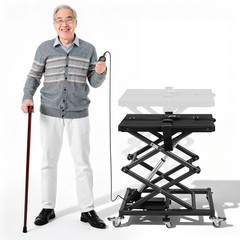 25lbs Portable Electric Wheelchair/Mobility Sctooer Lift for Cars,Support 110lbs
