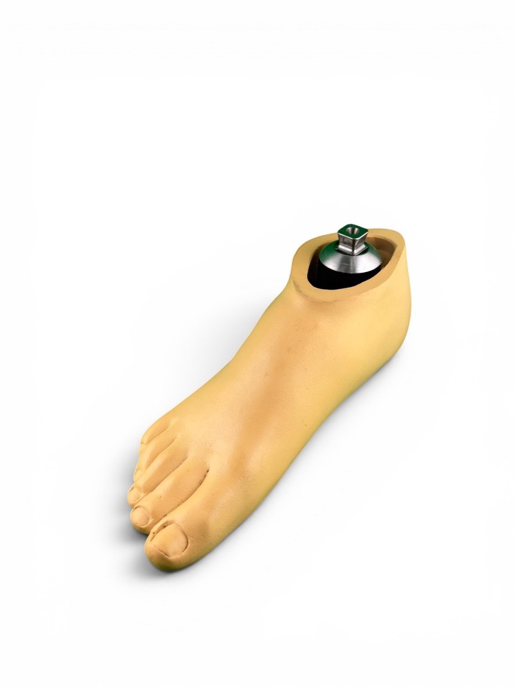 Ohio Willow Wood Sach prosthetic foot w/ titanium pyramid. Right. Size 27