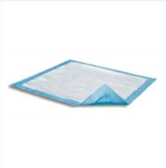 Attends Dri-Sorb Underpad 23“ x 24“ – 1pk=10pcs –  #UFS-230