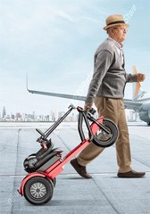 Daibot 3 Wheel Folding E Trike 1000W Electric Scooter Senior Removable Battery