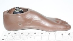 BLATCHFORD ENDOLITE Prosthetic LEFT SACH Foot w/ Adapter 04168AL ~ Sz 27 Cat 3