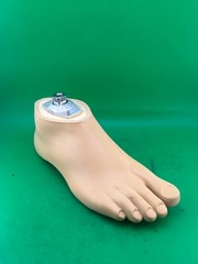 Ottobock Otto bock 1G6 sach prosthetic foot. Right. Size 26. Max weight 165