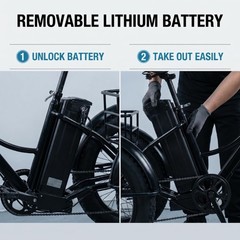Daibot 24Inch 750W 48V Fat Tire E Trike Adult 7Speed 65km Removable Battery