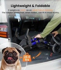 Stylish 2-in-1 Rollator & Transport Chair – 300lb Capacity for Active Seniors