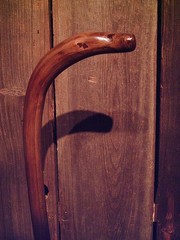 walking stick cane natural grown ROOT HANDLE for average size hands MADE IN USA